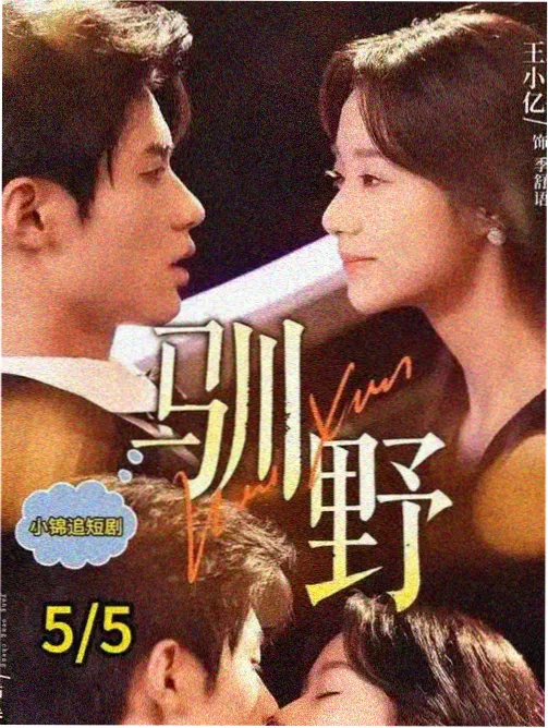 年代与语言分布的数据图鉴